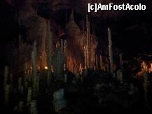 [P04] peștera Urșilor - Sfatul Bătrânilor » foto by cos i
 - 
<span class="allrVoted glyphicon glyphicon-heart hidden" id="av249177"></span>
<a class="m-l-10 hidden" id="sv249177" onclick="voting_Foto_DelVot(,249177,4270)" role="button">șterge vot <span class="glyphicon glyphicon-remove"></span></a>
<a id="v9249177" class=" c-red"  onclick="voting_Foto_SetVot(249177)" role="button"><span class="glyphicon glyphicon-heart-empty"></span> <b>LIKE</b> = Votează poza</a> <img class="hidden"  id="f249177W9" src="/imagini/loader.gif" border="0" /><span class="AjErrMes hidden" id="e249177ErM"></span>