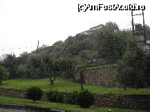 [P12] gradina seara » foto by gcorneille*
 - 
<span class="allrVoted glyphicon glyphicon-heart hidden" id="av37212"></span>
<a class="m-l-10 hidden" id="sv37212" onclick="voting_Foto_DelVot(,37212,4275)" role="button">șterge vot <span class="glyphicon glyphicon-remove"></span></a>
<a id="v937212" class=" c-red"  onclick="voting_Foto_SetVot(37212)" role="button"><span class="glyphicon glyphicon-heart-empty"></span> <b>LIKE</b> = Votează poza</a> <img class="hidden"  id="f37212W9" src="/imagini/loader.gif" border="0" /><span class="AjErrMes hidden" id="e37212ErM"></span>
