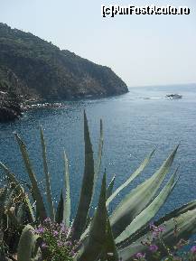 [P49] Via Dell'Amore-Cinque Terre » foto by georgiana
 - 
<span class="allrVoted glyphicon glyphicon-heart hidden" id="av246166"></span>
<a class="m-l-10 hidden" id="sv246166" onclick="voting_Foto_DelVot(,246166,4285)" role="button">șterge vot <span class="glyphicon glyphicon-remove"></span></a>
<a id="v9246166" class=" c-red"  onclick="voting_Foto_SetVot(246166)" role="button"><span class="glyphicon glyphicon-heart-empty"></span> <b>LIKE</b> = Votează poza</a> <img class="hidden"  id="f246166W9" src="/imagini/loader.gif" border="0" /><span class="AjErrMes hidden" id="e246166ErM"></span>