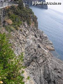 [P52] Imagine de pe Via Dell'Amore,Cinque Terre » foto by georgiana
 - 
<span class="allrVoted glyphicon glyphicon-heart hidden" id="av246256"></span>
<a class="m-l-10 hidden" id="sv246256" onclick="voting_Foto_DelVot(,246256,4285)" role="button">șterge vot <span class="glyphicon glyphicon-remove"></span></a>
<a id="v9246256" class=" c-red"  onclick="voting_Foto_SetVot(246256)" role="button"><span class="glyphicon glyphicon-heart-empty"></span> <b>LIKE</b> = Votează poza</a> <img class="hidden"  id="f246256W9" src="/imagini/loader.gif" border="0" /><span class="AjErrMes hidden" id="e246256ErM"></span>