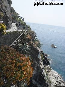 [P62] Imagine de pe Via Dell'Amore,Cinque Terre » foto by georgiana
 - 
<span class="allrVoted glyphicon glyphicon-heart hidden" id="av246288"></span>
<a class="m-l-10 hidden" id="sv246288" onclick="voting_Foto_DelVot(,246288,4285)" role="button">șterge vot <span class="glyphicon glyphicon-remove"></span></a>
<a id="v9246288" class=" c-red"  onclick="voting_Foto_SetVot(246288)" role="button"><span class="glyphicon glyphicon-heart-empty"></span> <b>LIKE</b> = Votează poza</a> <img class="hidden"  id="f246288W9" src="/imagini/loader.gif" border="0" /><span class="AjErrMes hidden" id="e246288ErM"></span>