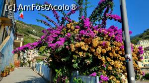 [P34] Riomaggiore - spre Via Telemaco Signorini » foto by k-lator
 - 
<span class="allrVoted glyphicon glyphicon-heart hidden" id="av1398292"></span>
<a class="m-l-10 hidden" id="sv1398292" onclick="voting_Foto_DelVot(,1398292,4285)" role="button">șterge vot <span class="glyphicon glyphicon-remove"></span></a>
<a id="v91398292" class=" c-red"  onclick="voting_Foto_SetVot(1398292)" role="button"><span class="glyphicon glyphicon-heart-empty"></span> <b>LIKE</b> = Votează poza</a> <img class="hidden"  id="f1398292W9" src="/imagini/loader.gif" border="0" /><span class="AjErrMes hidden" id="e1398292ErM"></span>