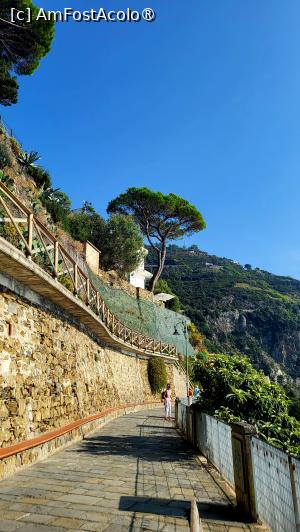 [P36] Riomaggiore - pe Via Telemaco Signorini » foto by k-lator
 - 
<span class="allrVoted glyphicon glyphicon-heart hidden" id="av1398294"></span>
<a class="m-l-10 hidden" id="sv1398294" onclick="voting_Foto_DelVot(,1398294,4285)" role="button">șterge vot <span class="glyphicon glyphicon-remove"></span></a>
<a id="v91398294" class=" c-red"  onclick="voting_Foto_SetVot(1398294)" role="button"><span class="glyphicon glyphicon-heart-empty"></span> <b>LIKE</b> = Votează poza</a> <img class="hidden"  id="f1398294W9" src="/imagini/loader.gif" border="0" /><span class="AjErrMes hidden" id="e1398294ErM"></span>