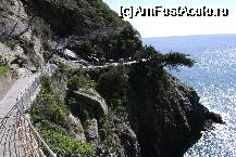 [P16] Cam asa arata Via dell'Amore » foto by chrismo
 - 
<span class="allrVoted glyphicon glyphicon-heart hidden" id="av64022"></span>
<a class="m-l-10 hidden" id="sv64022" onclick="voting_Foto_DelVot(,64022,4285)" role="button">șterge vot <span class="glyphicon glyphicon-remove"></span></a>
<a id="v964022" class=" c-red"  onclick="voting_Foto_SetVot(64022)" role="button"><span class="glyphicon glyphicon-heart-empty"></span> <b>LIKE</b> = Votează poza</a> <img class="hidden"  id="f64022W9" src="/imagini/loader.gif" border="0" /><span class="AjErrMes hidden" id="e64022ErM"></span>