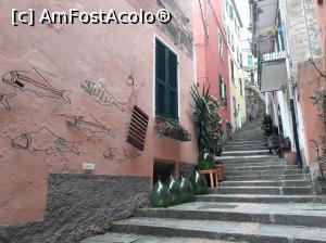 [P22] Străduțe în Monterosso.  » foto by Aurici
 - 
<span class="allrVoted glyphicon glyphicon-heart hidden" id="av967120"></span>
<a class="m-l-10 hidden" id="sv967120" onclick="voting_Foto_DelVot(,967120,4285)" role="button">șterge vot <span class="glyphicon glyphicon-remove"></span></a>
<a id="v9967120" class=" c-red"  onclick="voting_Foto_SetVot(967120)" role="button"><span class="glyphicon glyphicon-heart-empty"></span> <b>LIKE</b> = Votează poza</a> <img class="hidden"  id="f967120W9" src="/imagini/loader.gif" border="0" /><span class="AjErrMes hidden" id="e967120ErM"></span>