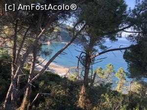 [P03] Levanto printre pomi » foto by mishu
 - 
<span class="allrVoted glyphicon glyphicon-heart hidden" id="av1289769"></span>
<a class="m-l-10 hidden" id="sv1289769" onclick="voting_Foto_DelVot(,1289769,4285)" role="button">șterge vot <span class="glyphicon glyphicon-remove"></span></a>
<a id="v91289769" class=" c-red"  onclick="voting_Foto_SetVot(1289769)" role="button"><span class="glyphicon glyphicon-heart-empty"></span> <b>LIKE</b> = Votează poza</a> <img class="hidden"  id="f1289769W9" src="/imagini/loader.gif" border="0" /><span class="AjErrMes hidden" id="e1289769ErM"></span>