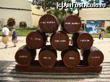[P07] Tipurile de struguri care cresc pe insula; Tinta Negra e soiul comun, cel care e 'by default' la baza oricarui vin pe care nu scrie ca ar proveni din alt tip de strugure » foto by DanCld
 - 
<span class="allrVoted glyphicon glyphicon-heart hidden" id="av362136"></span>
<a class="m-l-10 hidden" id="sv362136" onclick="voting_Foto_DelVot(,362136,4289)" role="button">șterge vot <span class="glyphicon glyphicon-remove"></span></a>
<a id="v9362136" class=" c-red"  onclick="voting_Foto_SetVot(362136)" role="button"><span class="glyphicon glyphicon-heart-empty"></span> <b>LIKE</b> = Votează poza</a> <img class="hidden"  id="f362136W9" src="/imagini/loader.gif" border="0" /><span class="AjErrMes hidden" id="e362136ErM"></span>