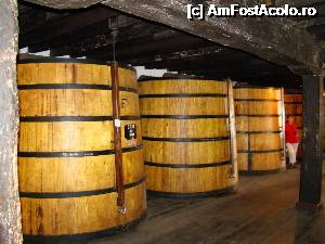 [P14] Asa se invecheste vinul la vinoteca Blandy's » foto by DanCld
 - 
<span class="allrVoted glyphicon glyphicon-heart hidden" id="av362506"></span>
<a class="m-l-10 hidden" id="sv362506" onclick="voting_Foto_DelVot(,362506,4289)" role="button">șterge vot <span class="glyphicon glyphicon-remove"></span></a>
<a id="v9362506" class=" c-red"  onclick="voting_Foto_SetVot(362506)" role="button"><span class="glyphicon glyphicon-heart-empty"></span> <b>LIKE</b> = Votează poza</a> <img class="hidden"  id="f362506W9" src="/imagini/loader.gif" border="0" /><span class="AjErrMes hidden" id="e362506ErM"></span>