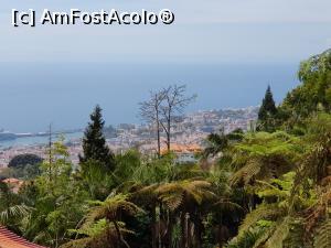 [P16] Golful Funchal văzut de pe Monte » foto by nicole33
 - 
<span class="allrVoted glyphicon glyphicon-heart hidden" id="av1322148"></span>
<a class="m-l-10 hidden" id="sv1322148" onclick="voting_Foto_DelVot(,1322148,4289)" role="button">șterge vot <span class="glyphicon glyphicon-remove"></span></a>
<a id="v91322148" class=" c-red"  onclick="voting_Foto_SetVot(1322148)" role="button"><span class="glyphicon glyphicon-heart-empty"></span> <b>LIKE</b> = Votează poza</a> <img class="hidden"  id="f1322148W9" src="/imagini/loader.gif" border="0" /><span class="AjErrMes hidden" id="e1322148ErM"></span>