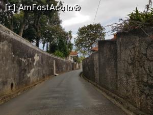 [P07] Cu săniuțele din Madeira - la vale ca pe tobogan » foto by nicole33
 - 
<span class="allrVoted glyphicon glyphicon-heart hidden" id="av1322111"></span>
<a class="m-l-10 hidden" id="sv1322111" onclick="voting_Foto_DelVot(,1322111,4289)" role="button">șterge vot <span class="glyphicon glyphicon-remove"></span></a>
<a id="v91322111" class=" c-red"  onclick="voting_Foto_SetVot(1322111)" role="button"><span class="glyphicon glyphicon-heart-empty"></span> <b>LIKE</b> = Votează poza</a> <img class="hidden"  id="f1322111W9" src="/imagini/loader.gif" border="0" /><span class="AjErrMes hidden" id="e1322111ErM"></span>