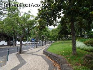 [P39] la pas prin Funchal » foto by robert
 - 
<span class="allrVoted glyphicon glyphicon-heart hidden" id="av994019"></span>
<a class="m-l-10 hidden" id="sv994019" onclick="voting_Foto_DelVot(,994019,4289)" role="button">șterge vot <span class="glyphicon glyphicon-remove"></span></a>
<a id="v9994019" class=" c-red"  onclick="voting_Foto_SetVot(994019)" role="button"><span class="glyphicon glyphicon-heart-empty"></span> <b>LIKE</b> = Votează poza</a> <img class="hidden"  id="f994019W9" src="/imagini/loader.gif" border="0" /><span class="AjErrMes hidden" id="e994019ErM"></span>