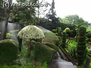 [P38] Grădina Botanică » foto by robert
 - 
<span class="allrVoted glyphicon glyphicon-heart hidden" id="av995843"></span>
<a class="m-l-10 hidden" id="sv995843" onclick="voting_Foto_DelVot(,995843,4289)" role="button">șterge vot <span class="glyphicon glyphicon-remove"></span></a>
<a id="v9995843" class=" c-red"  onclick="voting_Foto_SetVot(995843)" role="button"><span class="glyphicon glyphicon-heart-empty"></span> <b>LIKE</b> = Votează poza</a> <img class="hidden"  id="f995843W9" src="/imagini/loader.gif" border="0" /><span class="AjErrMes hidden" id="e995843ErM"></span>