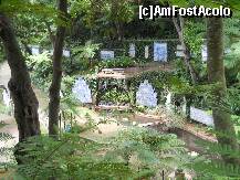 [P18] Jardim Tropical: Lac, cascade, vegetatie si arta... » foto by Delight
 - 
<span class="allrVoted glyphicon glyphicon-heart hidden" id="av257410"></span>
<a class="m-l-10 hidden" id="sv257410" onclick="voting_Foto_DelVot(,257410,4289)" role="button">șterge vot <span class="glyphicon glyphicon-remove"></span></a>
<a id="v9257410" class=" c-red"  onclick="voting_Foto_SetVot(257410)" role="button"><span class="glyphicon glyphicon-heart-empty"></span> <b>LIKE</b> = Votează poza</a> <img class="hidden"  id="f257410W9" src="/imagini/loader.gif" border="0" /><span class="AjErrMes hidden" id="e257410ErM"></span>