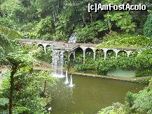 [P19] Jardim Tropical: Lacul si cascada principala » foto by Delight
 - 
<span class="allrVoted glyphicon glyphicon-heart hidden" id="av257411"></span>
<a class="m-l-10 hidden" id="sv257411" onclick="voting_Foto_DelVot(,257411,4289)" role="button">șterge vot <span class="glyphicon glyphicon-remove"></span></a>
<a id="v9257411" class=" c-red"  onclick="voting_Foto_SetVot(257411)" role="button"><span class="glyphicon glyphicon-heart-empty"></span> <b>LIKE</b> = Votează poza</a> <img class="hidden"  id="f257411W9" src="/imagini/loader.gif" border="0" /><span class="AjErrMes hidden" id="e257411ErM"></span>