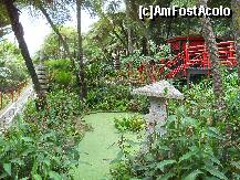 [P22] Jardim Tropical, gradina orientala de sud » foto by Delight
 - 
<span class="allrVoted glyphicon glyphicon-heart hidden" id="av257414"></span>
<a class="m-l-10 hidden" id="sv257414" onclick="voting_Foto_DelVot(,257414,4289)" role="button">șterge vot <span class="glyphicon glyphicon-remove"></span></a>
<a id="v9257414" class=" c-red"  onclick="voting_Foto_SetVot(257414)" role="button"><span class="glyphicon glyphicon-heart-empty"></span> <b>LIKE</b> = Votează poza</a> <img class="hidden"  id="f257414W9" src="/imagini/loader.gif" border="0" /><span class="AjErrMes hidden" id="e257414ErM"></span>