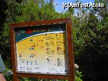 [P23] Madeira: cele 3 trasee de levadas: Risco, 25 Fontes si Levada do Paul » foto by Delight
 - 
<span class="allrVoted glyphicon glyphicon-heart hidden" id="av257415"></span>
<a class="m-l-10 hidden" id="sv257415" onclick="voting_Foto_DelVot(,257415,4289)" role="button">șterge vot <span class="glyphicon glyphicon-remove"></span></a>
<a id="v9257415" class=" c-red"  onclick="voting_Foto_SetVot(257415)" role="button"><span class="glyphicon glyphicon-heart-empty"></span> <b>LIKE</b> = Votează poza</a> <img class="hidden"  id="f257415W9" src="/imagini/loader.gif" border="0" /><span class="AjErrMes hidden" id="e257415ErM"></span>