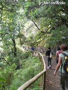 [P24] Madeira: Levada do Risco » foto by Delight
 - 
<span class="allrVoted glyphicon glyphicon-heart hidden" id="av257416"></span>
<a class="m-l-10 hidden" id="sv257416" onclick="voting_Foto_DelVot(,257416,4289)" role="button">șterge vot <span class="glyphicon glyphicon-remove"></span></a>
<a id="v9257416" class=" c-red"  onclick="voting_Foto_SetVot(257416)" role="button"><span class="glyphicon glyphicon-heart-empty"></span> <b>LIKE</b> = Votează poza</a> <img class="hidden"  id="f257416W9" src="/imagini/loader.gif" border="0" /><span class="AjErrMes hidden" id="e257416ErM"></span>