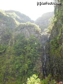 [P25] Madeira: Cascada Risco inalta si spectaculoasa » foto by Delight
 - 
<span class="allrVoted glyphicon glyphicon-heart hidden" id="av257417"></span>
<a class="m-l-10 hidden" id="sv257417" onclick="voting_Foto_DelVot(,257417,4289)" role="button">șterge vot <span class="glyphicon glyphicon-remove"></span></a>
<a id="v9257417" class=" c-red"  onclick="voting_Foto_SetVot(257417)" role="button"><span class="glyphicon glyphicon-heart-empty"></span> <b>LIKE</b> = Votează poza</a> <img class="hidden"  id="f257417W9" src="/imagini/loader.gif" border="0" /><span class="AjErrMes hidden" id="e257417ErM"></span>