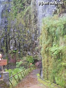 [P26] Madeira: Cascada Risco un val fin de apa ce cade parca din cer - preferata mea » foto by Delight
 - 
<span class="allrVoted glyphicon glyphicon-heart hidden" id="av257418"></span>
<a class="m-l-10 hidden" id="sv257418" onclick="voting_Foto_DelVot(,257418,4289)" role="button">șterge vot <span class="glyphicon glyphicon-remove"></span></a>
<a id="v9257418" class=" c-red"  onclick="voting_Foto_SetVot(257418)" role="button"><span class="glyphicon glyphicon-heart-empty"></span> <b>LIKE</b> = Votează poza</a> <img class="hidden"  id="f257418W9" src="/imagini/loader.gif" border="0" /><span class="AjErrMes hidden" id="e257418ErM"></span>