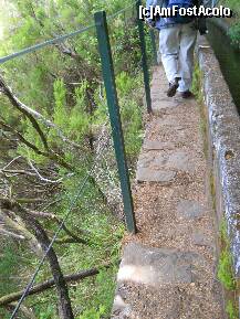 [P27] Madeira: Levada 25 Fontes una din zomele cele mai inguste » foto by Delight
 - 
<span class="allrVoted glyphicon glyphicon-heart hidden" id="av257419"></span>
<a class="m-l-10 hidden" id="sv257419" onclick="voting_Foto_DelVot(,257419,4289)" role="button">șterge vot <span class="glyphicon glyphicon-remove"></span></a>
<a id="v9257419" class=" c-red"  onclick="voting_Foto_SetVot(257419)" role="button"><span class="glyphicon glyphicon-heart-empty"></span> <b>LIKE</b> = Votează poza</a> <img class="hidden"  id="f257419W9" src="/imagini/loader.gif" border="0" /><span class="AjErrMes hidden" id="e257419ErM"></span>