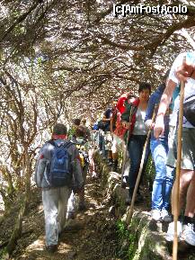 [P28] Madeira: Levada do 25 Fontes: cand se intalneau grupuri de turisti din directii diferite intro zona ingusta asteptau sa treaca unii intrun sens si apoi treceau si ceilalti, aici nu a fost cazul: cu spatele eram noi, tribul cu lanterne si cu fata e tribul cu bete » foto by Delight
 - 
<span class="allrVoted glyphicon glyphicon-heart hidden" id="av257420"></span>
<a class="m-l-10 hidden" id="sv257420" onclick="voting_Foto_DelVot(,257420,4289)" role="button">șterge vot <span class="glyphicon glyphicon-remove"></span></a>
<a id="v9257420" class=" c-red"  onclick="voting_Foto_SetVot(257420)" role="button"><span class="glyphicon glyphicon-heart-empty"></span> <b>LIKE</b> = Votează poza</a> <img class="hidden"  id="f257420W9" src="/imagini/loader.gif" border="0" /><span class="AjErrMes hidden" id="e257420ErM"></span>