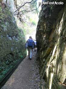 [P30] Madeira: Levada do Paul, am vazut chiar si un peste in levada asta micuta » foto by Delight
 - 
<span class="allrVoted glyphicon glyphicon-heart hidden" id="av257422"></span>
<a class="m-l-10 hidden" id="sv257422" onclick="voting_Foto_DelVot(,257422,4289)" role="button">șterge vot <span class="glyphicon glyphicon-remove"></span></a>
<a id="v9257422" class=" c-red"  onclick="voting_Foto_SetVot(257422)" role="button"><span class="glyphicon glyphicon-heart-empty"></span> <b>LIKE</b> = Votează poza</a> <img class="hidden"  id="f257422W9" src="/imagini/loader.gif" border="0" /><span class="AjErrMes hidden" id="e257422ErM"></span>