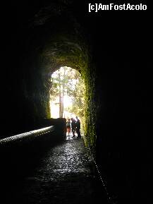 [P31] Madeira: Levada do Paul iesirea din tunel » foto by Delight
 - 
<span class="allrVoted glyphicon glyphicon-heart hidden" id="av257423"></span>
<a class="m-l-10 hidden" id="sv257423" onclick="voting_Foto_DelVot(,257423,4289)" role="button">șterge vot <span class="glyphicon glyphicon-remove"></span></a>
<a id="v9257423" class=" c-red"  onclick="voting_Foto_SetVot(257423)" role="button"><span class="glyphicon glyphicon-heart-empty"></span> <b>LIKE</b> = Votează poza</a> <img class="hidden"  id="f257423W9" src="/imagini/loader.gif" border="0" /><span class="AjErrMes hidden" id="e257423ErM"></span>