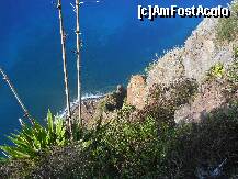 [P04] Cabo Girao: pana la apa sunt 580 metri » foto by Delight
 - 
<span class="allrVoted glyphicon glyphicon-heart hidden" id="av257686"></span>
<a class="m-l-10 hidden" id="sv257686" onclick="voting_Foto_DelVot(,257686,4289)" role="button">șterge vot <span class="glyphicon glyphicon-remove"></span></a>
<a id="v9257686" class=" c-red"  onclick="voting_Foto_SetVot(257686)" role="button"><span class="glyphicon glyphicon-heart-empty"></span> <b>LIKE</b> = Votează poza</a> <img class="hidden"  id="f257686W9" src="/imagini/loader.gif" border="0" /><span class="AjErrMes hidden" id="e257686ErM"></span>