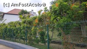 [P27] vita de vie Pinot Noir la o casa din Portela » foto by elenaadina
 - 
<span class="allrVoted glyphicon glyphicon-heart hidden" id="av1312472"></span>
<a class="m-l-10 hidden" id="sv1312472" onclick="voting_Foto_DelVot(,1312472,4289)" role="button">șterge vot <span class="glyphicon glyphicon-remove"></span></a>
<a id="v91312472" class=" c-red"  onclick="voting_Foto_SetVot(1312472)" role="button"><span class="glyphicon glyphicon-heart-empty"></span> <b>LIKE</b> = Votează poza</a> <img class="hidden"  id="f1312472W9" src="/imagini/loader.gif" border="0" /><span class="AjErrMes hidden" id="e1312472ErM"></span>