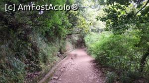 [P45] Ribeiro Frio , PR11 Levada dos Balcões,traseu » foto by elenaadina
 - 
<span class="allrVoted glyphicon glyphicon-heart hidden" id="av1312511"></span>
<a class="m-l-10 hidden" id="sv1312511" onclick="voting_Foto_DelVot(,1312511,4289)" role="button">șterge vot <span class="glyphicon glyphicon-remove"></span></a>
<a id="v91312511" class=" c-red"  onclick="voting_Foto_SetVot(1312511)" role="button"><span class="glyphicon glyphicon-heart-empty"></span> <b>LIKE</b> = Votează poza</a> <img class="hidden"  id="f1312511W9" src="/imagini/loader.gif" border="0" /><span class="AjErrMes hidden" id="e1312511ErM"></span>