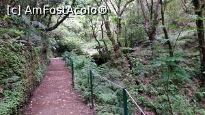 [P46] Ribeiro Frio , PR11 Levada dos Balcões,traseu » foto by elenaadina
 - 
<span class="allrVoted glyphicon glyphicon-heart hidden" id="av1312517"></span>
<a class="m-l-10 hidden" id="sv1312517" onclick="voting_Foto_DelVot(,1312517,4289)" role="button">șterge vot <span class="glyphicon glyphicon-remove"></span></a>
<a id="v91312517" class=" c-red"  onclick="voting_Foto_SetVot(1312517)" role="button"><span class="glyphicon glyphicon-heart-empty"></span> <b>LIKE</b> = Votează poza</a> <img class="hidden"  id="f1312517W9" src="/imagini/loader.gif" border="0" /><span class="AjErrMes hidden" id="e1312517ErM"></span>