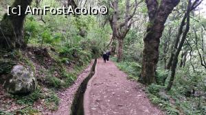 [P47] Ribeiro Frio , PR11 Levada dos Balcões,traseu » foto by elenaadina
 - 
<span class="allrVoted glyphicon glyphicon-heart hidden" id="av1312518"></span>
<a class="m-l-10 hidden" id="sv1312518" onclick="voting_Foto_DelVot(,1312518,4289)" role="button">șterge vot <span class="glyphicon glyphicon-remove"></span></a>
<a id="v91312518" class=" c-red"  onclick="voting_Foto_SetVot(1312518)" role="button"><span class="glyphicon glyphicon-heart-empty"></span> <b>LIKE</b> = Votează poza</a> <img class="hidden"  id="f1312518W9" src="/imagini/loader.gif" border="0" /><span class="AjErrMes hidden" id="e1312518ErM"></span>