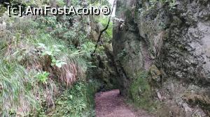 [P48] Ribeiro Frio , PR11 Levada dos Balcões,traseu » foto by elenaadina
 - 
<span class="allrVoted glyphicon glyphicon-heart hidden" id="av1312519"></span>
<a class="m-l-10 hidden" id="sv1312519" onclick="voting_Foto_DelVot(,1312519,4289)" role="button">șterge vot <span class="glyphicon glyphicon-remove"></span></a>
<a id="v91312519" class=" c-red"  onclick="voting_Foto_SetVot(1312519)" role="button"><span class="glyphicon glyphicon-heart-empty"></span> <b>LIKE</b> = Votează poza</a> <img class="hidden"  id="f1312519W9" src="/imagini/loader.gif" border="0" /><span class="AjErrMes hidden" id="e1312519ErM"></span>