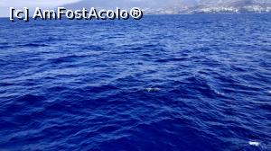 [P18] croaziera cu Sea Nature » foto by elenaadina
 - 
<span class="allrVoted glyphicon glyphicon-heart hidden" id="av1337778"></span>
<a class="m-l-10 hidden" id="sv1337778" onclick="voting_Foto_DelVot(,1337778,4289)" role="button">șterge vot <span class="glyphicon glyphicon-remove"></span></a>
<a id="v91337778" class=" c-red"  onclick="voting_Foto_SetVot(1337778)" role="button"><span class="glyphicon glyphicon-heart-empty"></span> <b>LIKE</b> = Votează poza</a> <img class="hidden"  id="f1337778W9" src="/imagini/loader.gif" border="0" /><span class="AjErrMes hidden" id="e1337778ErM"></span>
