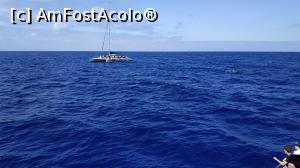 [P08] croaziera cu Sea Nature » foto by elenaadina
 - 
<span class="allrVoted glyphicon glyphicon-heart hidden" id="av1337768"></span>
<a class="m-l-10 hidden" id="sv1337768" onclick="voting_Foto_DelVot(,1337768,4289)" role="button">șterge vot <span class="glyphicon glyphicon-remove"></span></a>
<a id="v91337768" class=" c-red"  onclick="voting_Foto_SetVot(1337768)" role="button"><span class="glyphicon glyphicon-heart-empty"></span> <b>LIKE</b> = Votează poza</a> <img class="hidden"  id="f1337768W9" src="/imagini/loader.gif" border="0" /><span class="AjErrMes hidden" id="e1337768ErM"></span>