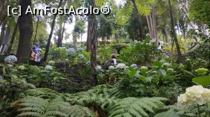 [P11] Monte Palace Garden » foto by elenaadina
 - 
<span class="allrVoted glyphicon glyphicon-heart hidden" id="av1337962"></span>
<a class="m-l-10 hidden" id="sv1337962" onclick="voting_Foto_DelVot(,1337962,4289)" role="button">șterge vot <span class="glyphicon glyphicon-remove"></span></a>
<a id="v91337962" class=" c-red"  onclick="voting_Foto_SetVot(1337962)" role="button"><span class="glyphicon glyphicon-heart-empty"></span> <b>LIKE</b> = Votează poza</a> <img class="hidden"  id="f1337962W9" src="/imagini/loader.gif" border="0" /><span class="AjErrMes hidden" id="e1337962ErM"></span>