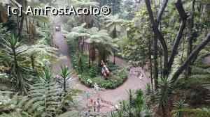 [P12] Monte Palace Garden » foto by elenaadina
 - 
<span class="allrVoted glyphicon glyphicon-heart hidden" id="av1337963"></span>
<a class="m-l-10 hidden" id="sv1337963" onclick="voting_Foto_DelVot(,1337963,4289)" role="button">șterge vot <span class="glyphicon glyphicon-remove"></span></a>
<a id="v91337963" class=" c-red"  onclick="voting_Foto_SetVot(1337963)" role="button"><span class="glyphicon glyphicon-heart-empty"></span> <b>LIKE</b> = Votează poza</a> <img class="hidden"  id="f1337963W9" src="/imagini/loader.gif" border="0" /><span class="AjErrMes hidden" id="e1337963ErM"></span>