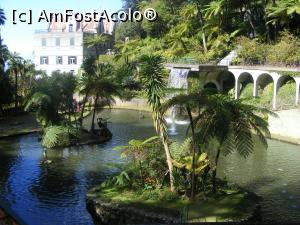 [P05] Tot Jardim Tropical » foto by Mitin
 - 
<span class="allrVoted glyphicon glyphicon-heart hidden" id="av722605"></span>
<a class="m-l-10 hidden" id="sv722605" onclick="voting_Foto_DelVot(,722605,4289)" role="button">șterge vot <span class="glyphicon glyphicon-remove"></span></a>
<a id="v9722605" class=" c-red"  onclick="voting_Foto_SetVot(722605)" role="button"><span class="glyphicon glyphicon-heart-empty"></span> <b>LIKE</b> = Votează poza</a> <img class="hidden"  id="f722605W9" src="/imagini/loader.gif" border="0" /><span class="AjErrMes hidden" id="e722605ErM"></span>
