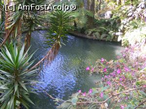 [P06] Jardim Tropical » foto by Mitin
 - 
<span class="allrVoted glyphicon glyphicon-heart hidden" id="av722606"></span>
<a class="m-l-10 hidden" id="sv722606" onclick="voting_Foto_DelVot(,722606,4289)" role="button">șterge vot <span class="glyphicon glyphicon-remove"></span></a>
<a id="v9722606" class=" c-red"  onclick="voting_Foto_SetVot(722606)" role="button"><span class="glyphicon glyphicon-heart-empty"></span> <b>LIKE</b> = Votează poza</a> <img class="hidden"  id="f722606W9" src="/imagini/loader.gif" border="0" /><span class="AjErrMes hidden" id="e722606ErM"></span>