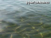 [P10] Ce se vede in apa: Ceva pesti, niste crabi mici... pacat ca nu e mai clara.
Adancime - 1.5m, lungimea de la mal - 10 m. » foto by yoshy262*
 - 
<span class="allrVoted glyphicon glyphicon-heart hidden" id="av117308"></span>
<a class="m-l-10 hidden" id="sv117308" onclick="voting_Foto_DelVot(,117308,4294)" role="button">șterge vot <span class="glyphicon glyphicon-remove"></span></a>
<a id="v9117308" class=" c-red"  onclick="voting_Foto_SetVot(117308)" role="button"><span class="glyphicon glyphicon-heart-empty"></span> <b>LIKE</b> = Votează poza</a> <img class="hidden"  id="f117308W9" src="/imagini/loader.gif" border="0" /><span class="AjErrMes hidden" id="e117308ErM"></span>