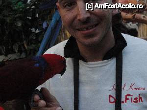 [P20]  -- <small>// FĂRĂ DESCRIERE</small> » foto by Suffisant
 - 
<span class="allrVoted glyphicon glyphicon-heart hidden" id="av490865"></span>
<a class="m-l-10 hidden" id="sv490865" onclick="voting_Foto_DelVot(,490865,4294)" role="button">șterge vot <span class="glyphicon glyphicon-remove"></span></a>
<a id="v9490865" class=" c-red"  onclick="voting_Foto_SetVot(490865)" role="button"><span class="glyphicon glyphicon-heart-empty"></span> <b>LIKE</b> = Votează poza</a> <img class="hidden"  id="f490865W9" src="/imagini/loader.gif" border="0" /><span class="AjErrMes hidden" id="e490865ErM"></span>