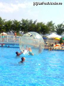 [P01] piscina si distractia cea mai tare a copiilor... » foto by VIO
 - 
<span class="allrVoted glyphicon glyphicon-heart hidden" id="av109142"></span>
<a class="m-l-10 hidden" id="sv109142" onclick="voting_Foto_DelVot(,109142,4294)" role="button">șterge vot <span class="glyphicon glyphicon-remove"></span></a>
<a id="v9109142" class=" c-red"  onclick="voting_Foto_SetVot(109142)" role="button"><span class="glyphicon glyphicon-heart-empty"></span> <b>LIKE</b> = Votează poza</a> <img class="hidden"  id="f109142W9" src="/imagini/loader.gif" border="0" /><span class="AjErrMes hidden" id="e109142ErM"></span>