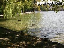 [P02] Ratustele pe lac » foto by johnnyredlabel †
 - 
<span class="allrVoted glyphicon glyphicon-heart hidden" id="av236328"></span>
<a class="m-l-10 hidden" id="sv236328" onclick="voting_Foto_DelVot(,236328,4310)" role="button">șterge vot <span class="glyphicon glyphicon-remove"></span></a>
<a id="v9236328" class=" c-red"  onclick="voting_Foto_SetVot(236328)" role="button"><span class="glyphicon glyphicon-heart-empty"></span> <b>LIKE</b> = Votează poza</a> <img class="hidden"  id="f236328W9" src="/imagini/loader.gif" border="0" /><span class="AjErrMes hidden" id="e236328ErM"></span>