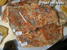 [P12] Crazy lace agate-agat ca o dantela nebuna??????:))))) » foto by andra2
 - 
<span class="allrVoted glyphicon glyphicon-heart hidden" id="av186410"></span>
<a class="m-l-10 hidden" id="sv186410" onclick="voting_Foto_DelVot(,186410,4310)" role="button">șterge vot <span class="glyphicon glyphicon-remove"></span></a>
<a id="v9186410" class=" c-red"  onclick="voting_Foto_SetVot(186410)" role="button"><span class="glyphicon glyphicon-heart-empty"></span> <b>LIKE</b> = Votează poza</a> <img class="hidden"  id="f186410W9" src="/imagini/loader.gif" border="0" /><span class="AjErrMes hidden" id="e186410ErM"></span>