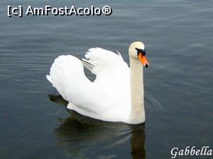[P45] Prietena mea » foto by GabrielaG
 - 
<span class="allrVoted glyphicon glyphicon-heart hidden" id="av744328"></span>
<a class="m-l-10 hidden" id="sv744328" onclick="voting_Foto_DelVot(,744328,4310)" role="button">șterge vot <span class="glyphicon glyphicon-remove"></span></a>
<a id="v9744328" class=" c-red"  onclick="voting_Foto_SetVot(744328)" role="button"><span class="glyphicon glyphicon-heart-empty"></span> <b>LIKE</b> = Votează poza</a> <img class="hidden"  id="f744328W9" src="/imagini/loader.gif" border="0" /><span class="AjErrMes hidden" id="e744328ErM"></span>
