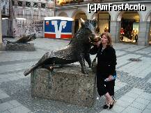 [P21] Germania - Munchen Marienplaz - Porcelino, unul din fratii lui Porcelino din Florenta » foto by Diaura*
 - 
<span class="allrVoted glyphicon glyphicon-heart hidden" id="av210370"></span>
<a class="m-l-10 hidden" id="sv210370" onclick="voting_Foto_DelVot(,210370,4310)" role="button">șterge vot <span class="glyphicon glyphicon-remove"></span></a>
<a id="v9210370" class=" c-red"  onclick="voting_Foto_SetVot(210370)" role="button"><span class="glyphicon glyphicon-heart-empty"></span> <b>LIKE</b> = Votează poza</a> <img class="hidden"  id="f210370W9" src="/imagini/loader.gif" border="0" /><span class="AjErrMes hidden" id="e210370ErM"></span>