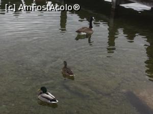 [P35] Munchen - Lacul Starnberg » foto by mishu
 - 
<span class="allrVoted glyphicon glyphicon-heart hidden" id="av950321"></span>
<a class="m-l-10 hidden" id="sv950321" onclick="voting_Foto_DelVot(,950321,4310)" role="button">șterge vot <span class="glyphicon glyphicon-remove"></span></a>
<a id="v9950321" class=" c-red"  onclick="voting_Foto_SetVot(950321)" role="button"><span class="glyphicon glyphicon-heart-empty"></span> <b>LIKE</b> = Votează poza</a> <img class="hidden"  id="f950321W9" src="/imagini/loader.gif" border="0" /><span class="AjErrMes hidden" id="e950321ErM"></span>