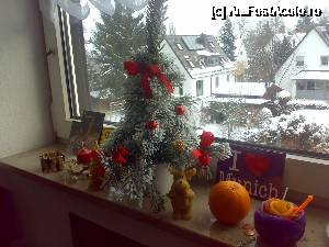 [P11]  -- <small>// FĂRĂ DESCRIERE</small> » foto by Marin Dumitru
 - 
<span class="allrVoted glyphicon glyphicon-heart hidden" id="av690997"></span>
<a class="m-l-10 hidden" id="sv690997" onclick="voting_Foto_DelVot(,690997,4310)" role="button">șterge vot <span class="glyphicon glyphicon-remove"></span></a>
<a id="v9690997" class=" c-red"  onclick="voting_Foto_SetVot(690997)" role="button"><span class="glyphicon glyphicon-heart-empty"></span> <b>LIKE</b> = Votează poza</a> <img class="hidden"  id="f690997W9" src="/imagini/loader.gif" border="0" /><span class="AjErrMes hidden" id="e690997ErM"></span>