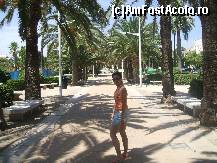 [P03] Faleza Valencia » foto by iulian.chiper
 - 
<span class="allrVoted glyphicon glyphicon-heart hidden" id="av42436"></span>
<a class="m-l-10 hidden" id="sv42436" onclick="voting_Foto_DelVot(,42436,4314)" role="button">șterge vot <span class="glyphicon glyphicon-remove"></span></a>
<a id="v942436" class=" c-red"  onclick="voting_Foto_SetVot(42436)" role="button"><span class="glyphicon glyphicon-heart-empty"></span> <b>LIKE</b> = Votează poza</a> <img class="hidden"  id="f42436W9" src="/imagini/loader.gif" border="0" /><span class="AjErrMes hidden" id="e42436ErM"></span>