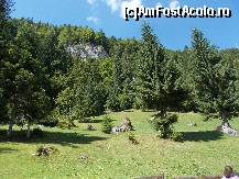 [P14] Un loc frumos pentru relaxare.  » foto by yuly68*
 - 
<span class="allrVoted glyphicon glyphicon-heart hidden" id="av385847"></span>
<a class="m-l-10 hidden" id="sv385847" onclick="voting_Foto_DelVot(,385847,4320)" role="button">șterge vot <span class="glyphicon glyphicon-remove"></span></a>
<a id="v9385847" class=" c-red"  onclick="voting_Foto_SetVot(385847)" role="button"><span class="glyphicon glyphicon-heart-empty"></span> <b>LIKE</b> = Votează poza</a> <img class="hidden"  id="f385847W9" src="/imagini/loader.gif" border="0" /><span class="AjErrMes hidden" id="e385847ErM"></span>